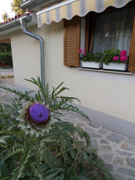 Apartma Istra Zora Sečovlje Kültér fotó