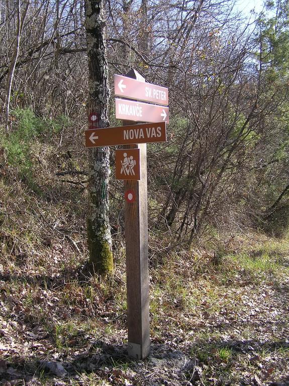 Apartma Istra Zora Sečovlje Szoba fotó