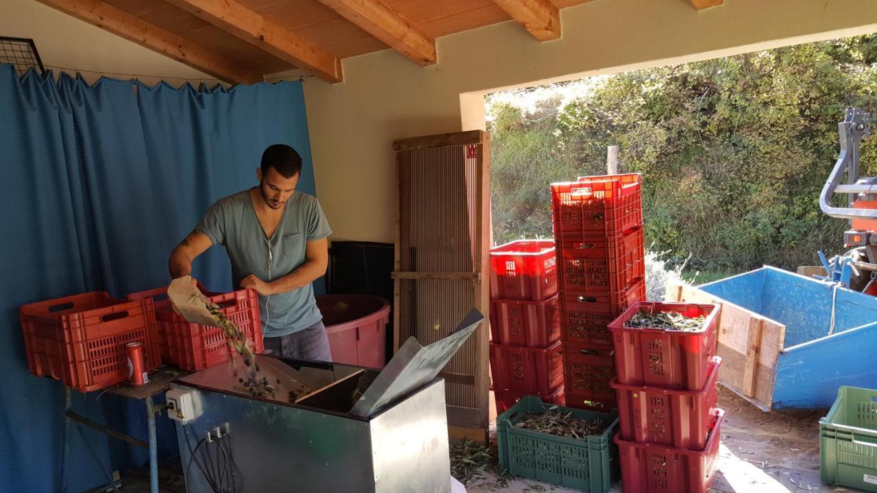 Apartma Istra Zora Sečovlje Kültér fotó