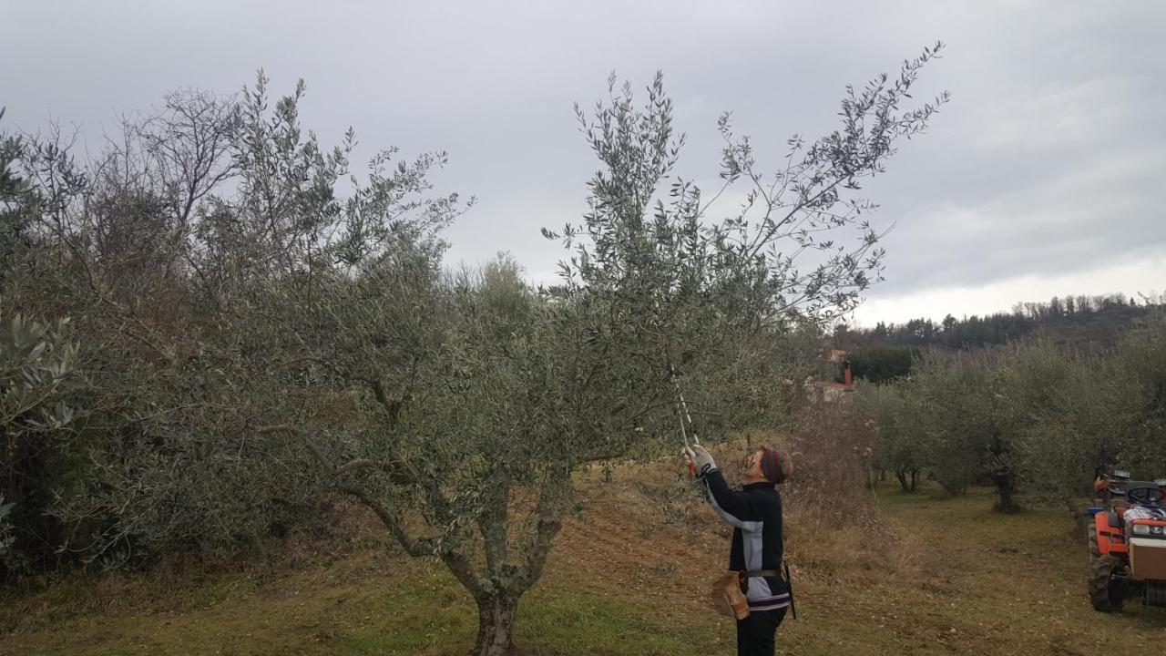 Apartma Istra Zora Sečovlje Kültér fotó